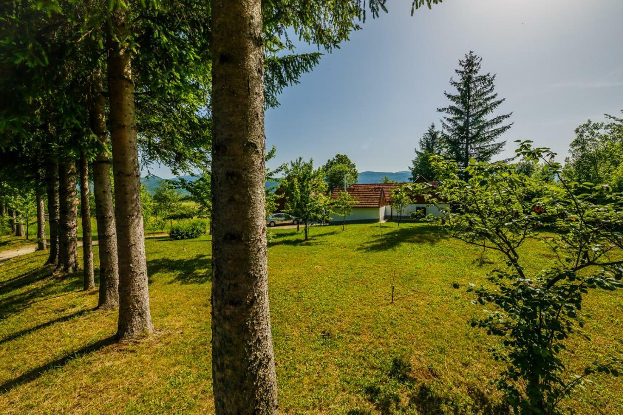 Beautiful Cottage With Heated Pool For 22 Ppl Plaski ภายนอก รูปภาพ